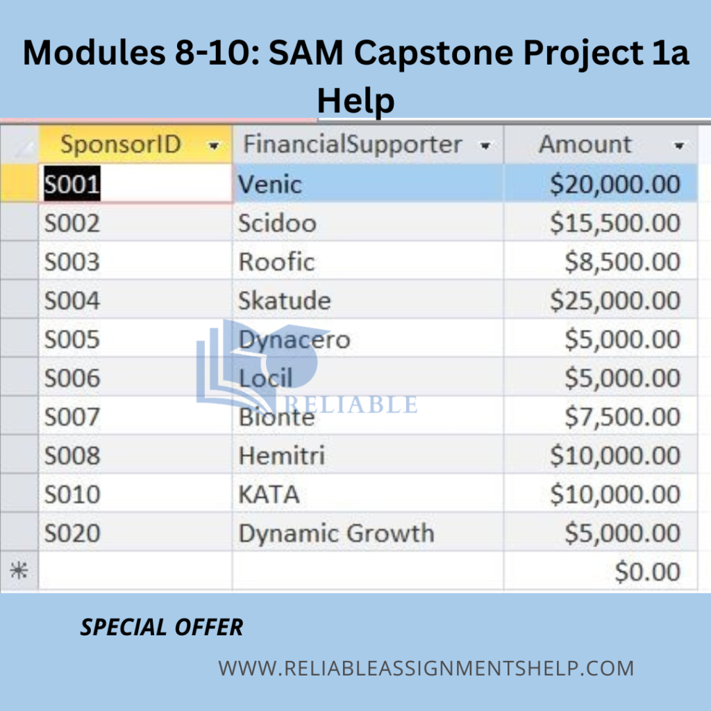 Modules 8-10 SAM Capstone Project 1a