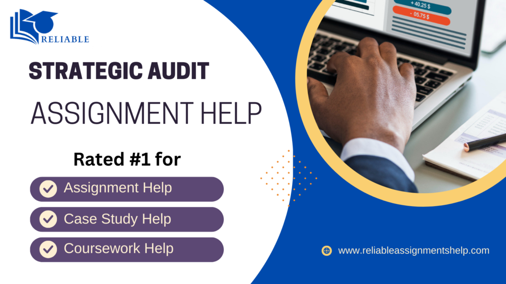 company strategic audit analysis assignment help