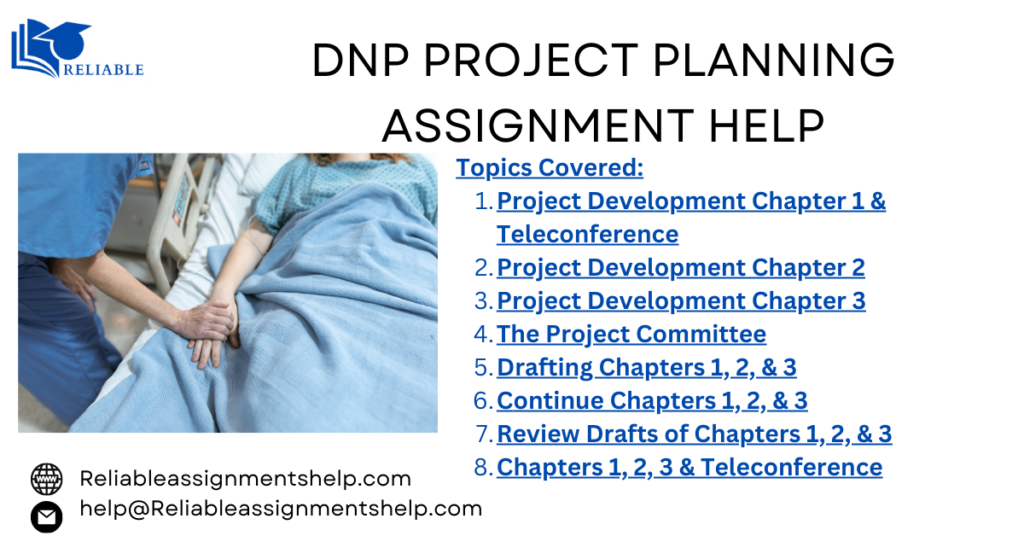 DNP Project Planning Assignment Help