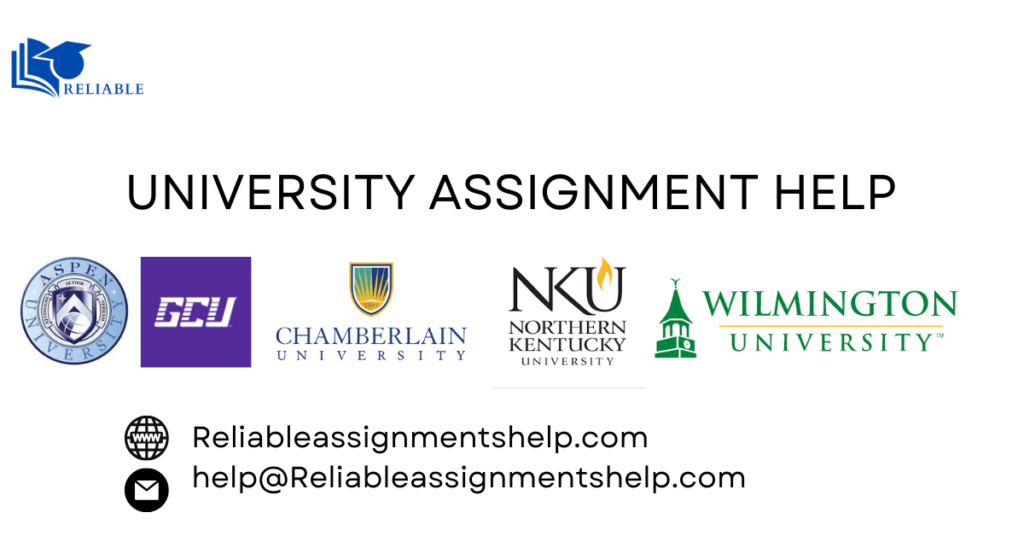 University Assignment Help